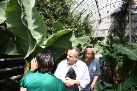 رئیس شورای اسلامی شهر تهران از مجموعه سعدآباد بازدید کرد