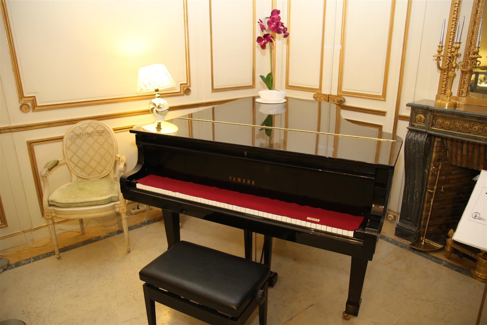 همزمان با سال نو: نمایش پیانو آکوستیک رویال کاخ اشرف در سعدآباد