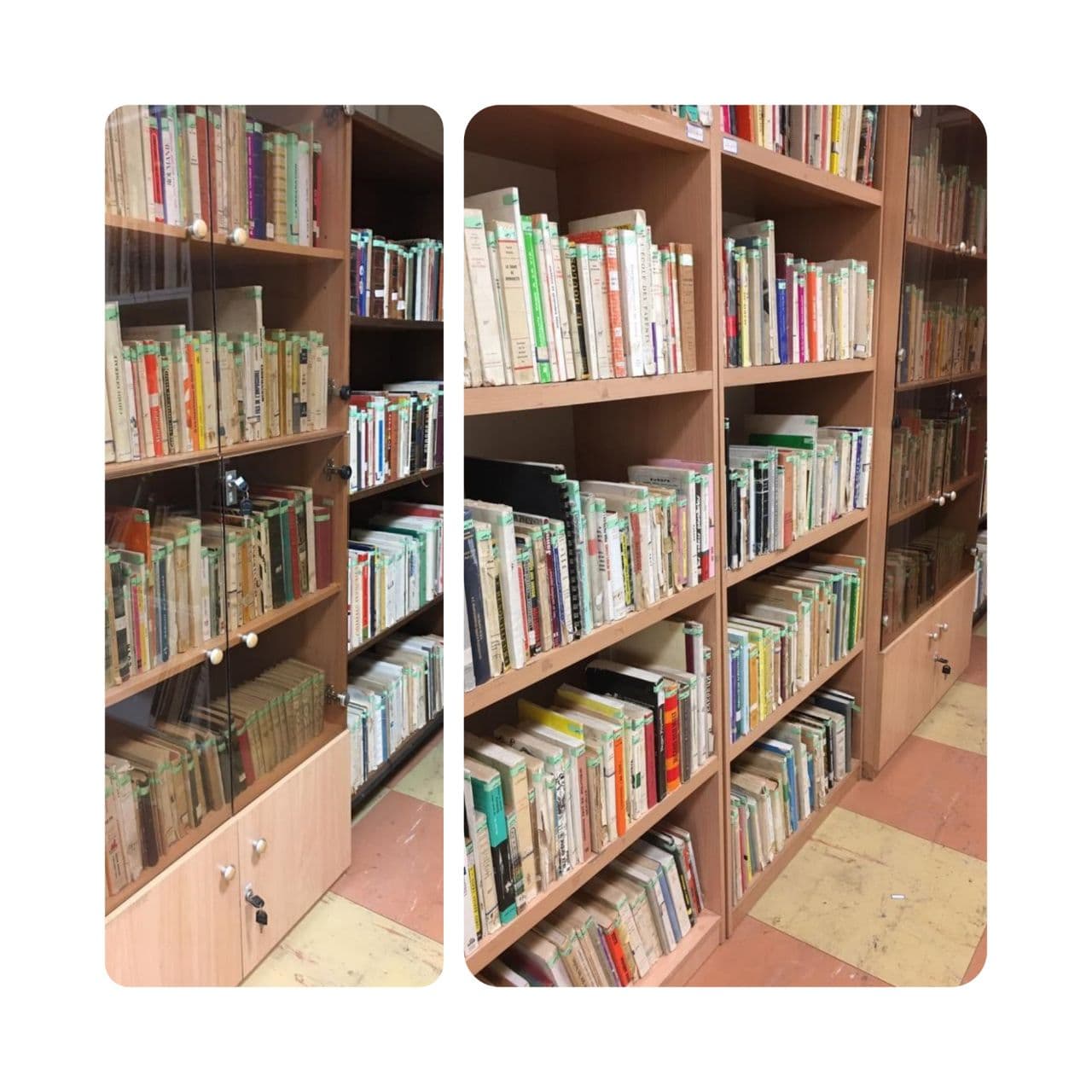 اتمام فاز دوم ساماندهی منابع و کتابهای مخزن کتابخانه مجموعه سعدآباد