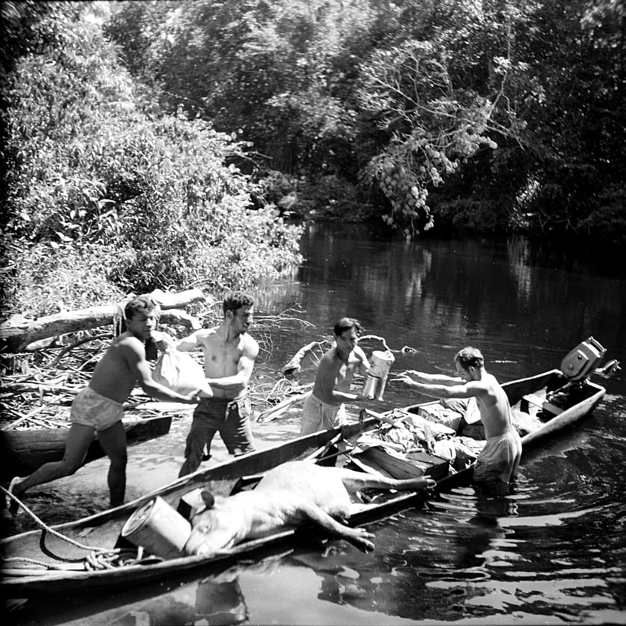 نام شی: قاب عکس برادران امیدوار بر روی رودخانه آمازون در بازگشت از شکارتاپیر/موزه برادران امیدوار
