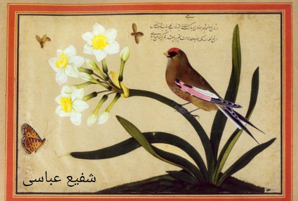 نقاشی گل و مرغ در نگارگری /موزه استاد فرشچیان